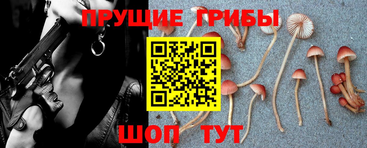 Ижевск  Псилоцибиновые грибы Magic Shrooms  Вход с VPN 